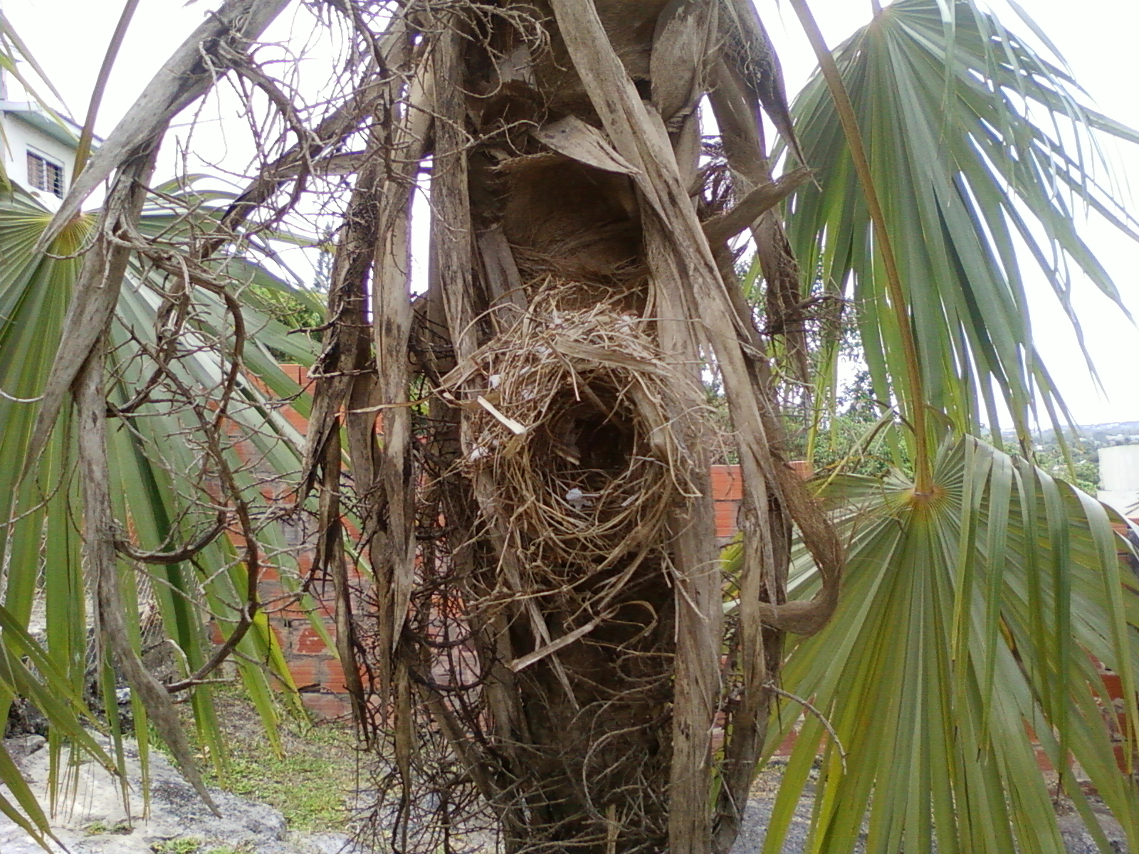 So Very Very Thankful Look at meeee!!