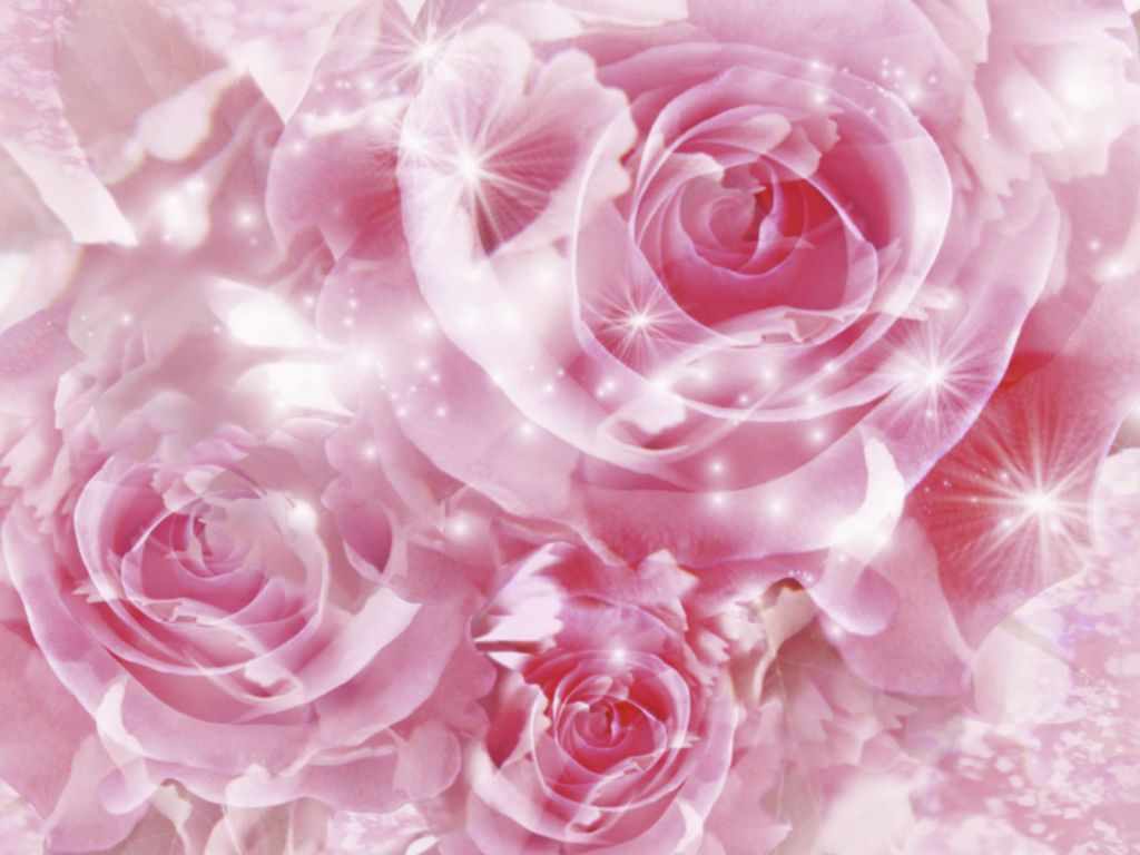 Featured image of post Movimiento Hermosas Fondos De Pantalla De Flores Puede elegir entre muchos fondos de pantalla en movimiento con animales de ne n flores relojes y otros fondos de pantalla femeninos que iluminar n magn ficamente su tel fono y tableta mientras que las part culas en movimiento pueden hacerlo animado e interesante