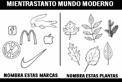 mientras tanto mundo moderno