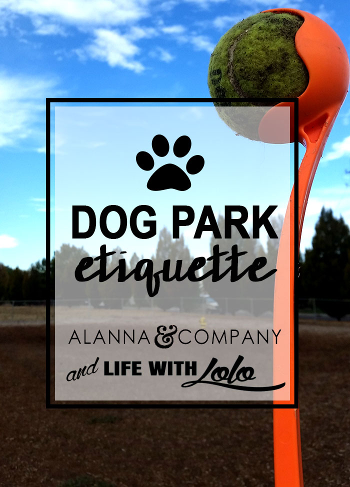 Dog Park Etiquette