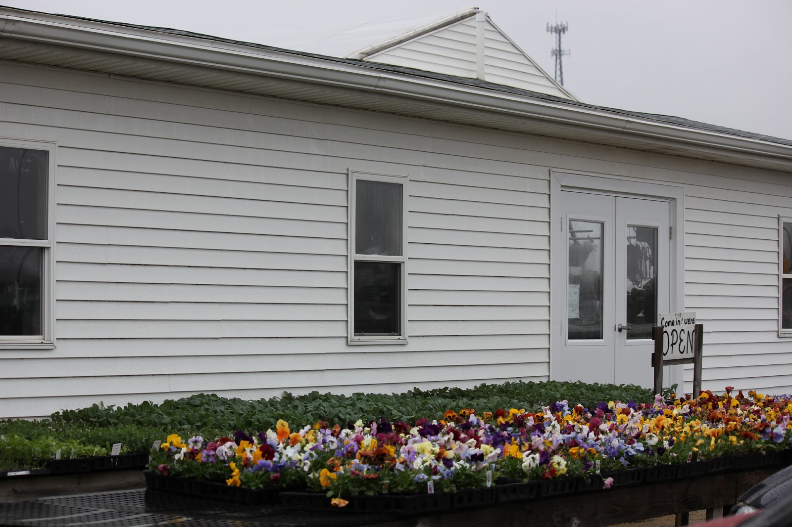 The Cabin Countess Amish Greenhouses