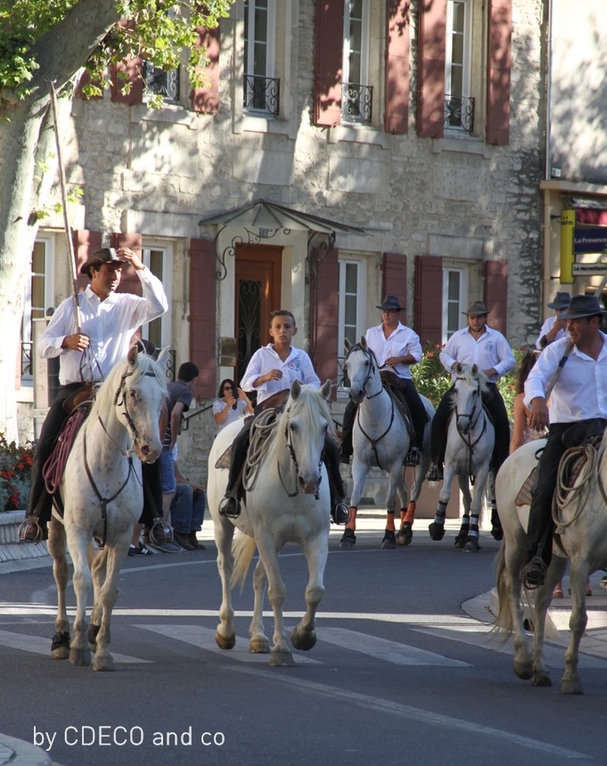 CDECO and co INSPIRATION LA FERIA DE SAINT REMY DE PROVENCE