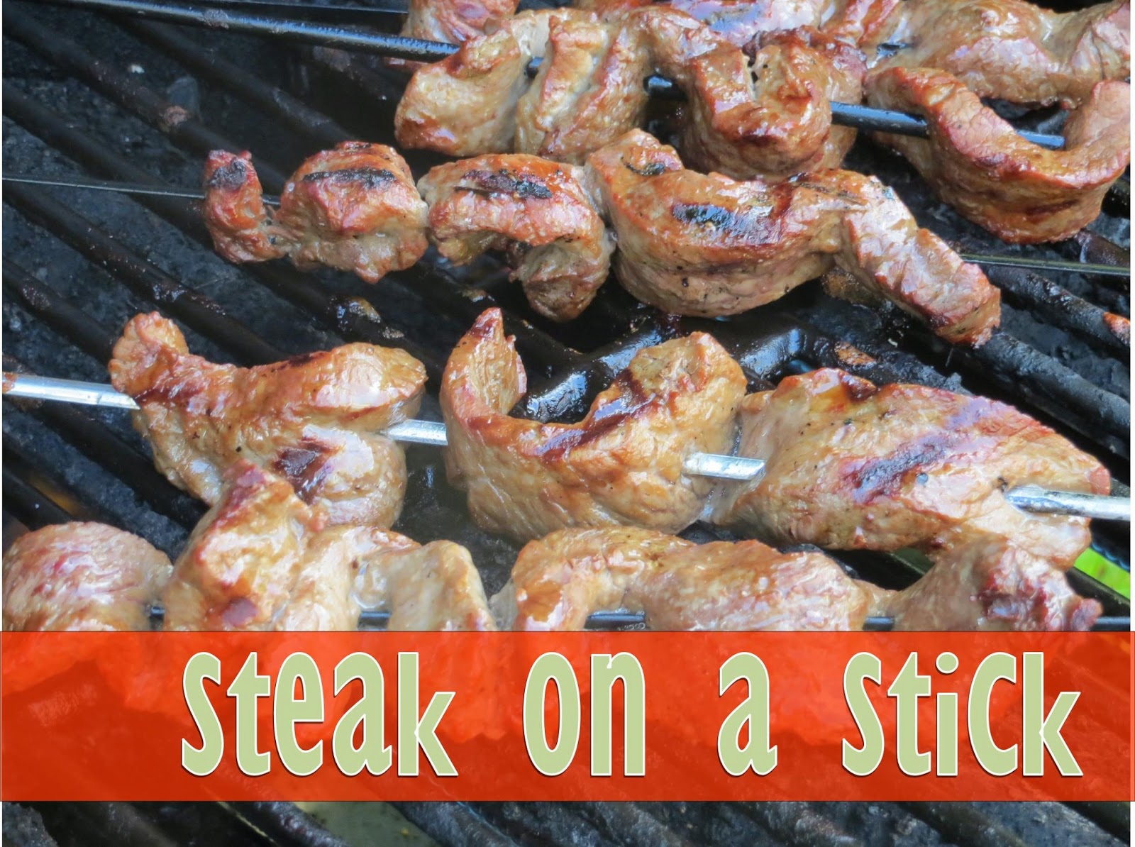 Two Magical Moms Steak on a Stick