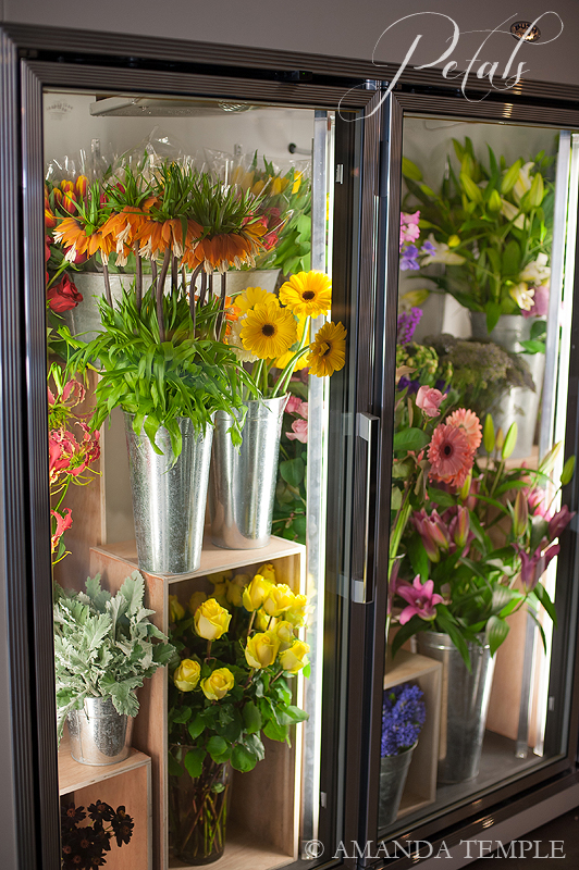 Petals Bermuda Florist April 2013