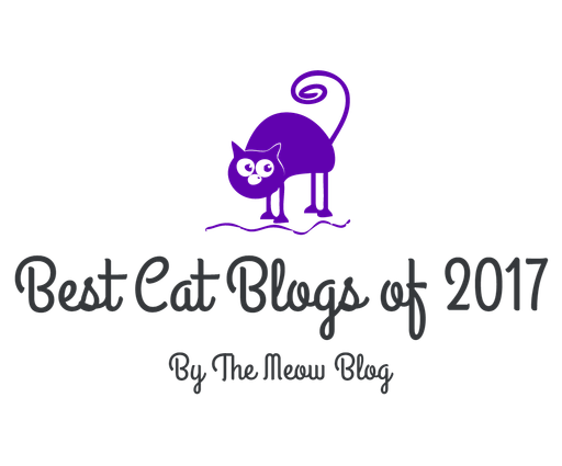 Best Cat Blogs of 2017