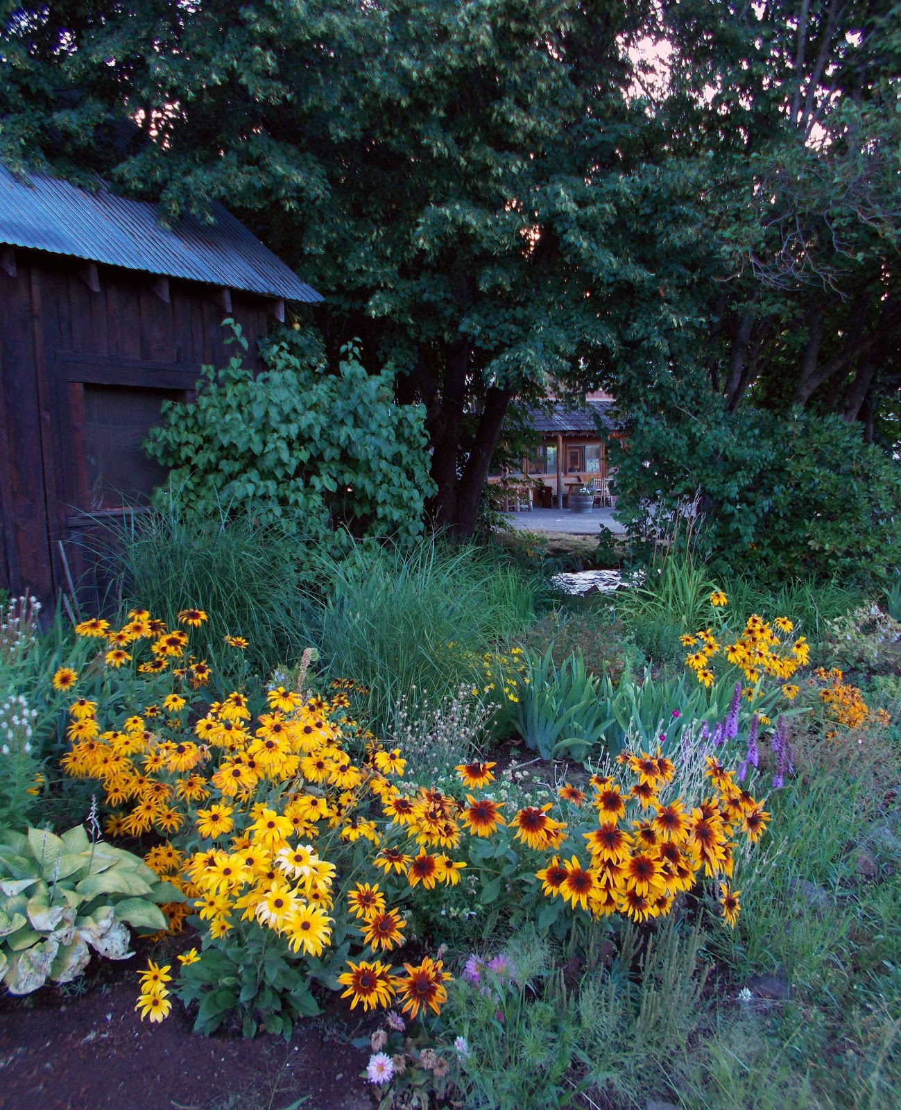 Ingrid on the PCT Washington Section B Trout Lake to White Pass