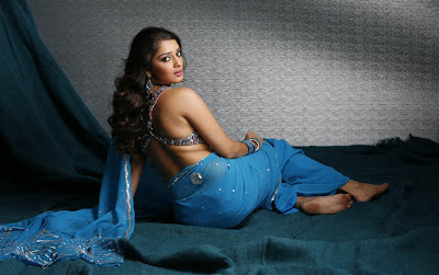 Tollywood Actress Nikitha Hot Saree Navel Show Photos Gallery