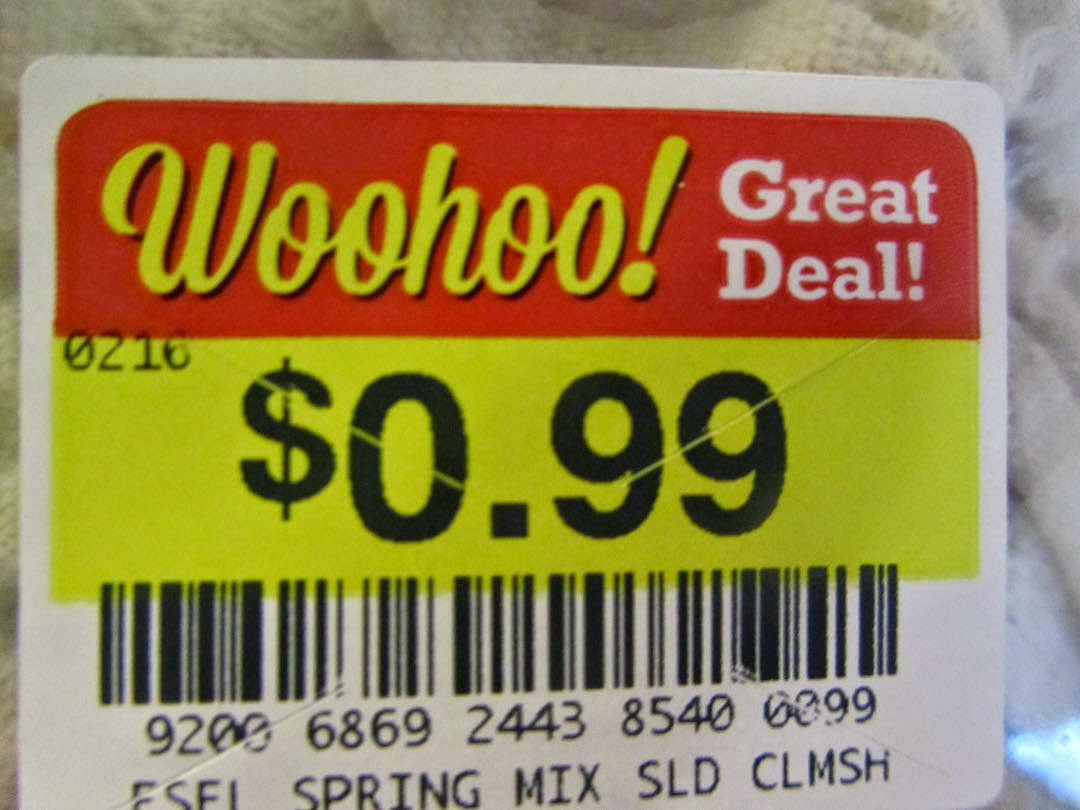 creative savv Woohoo Oh No!!