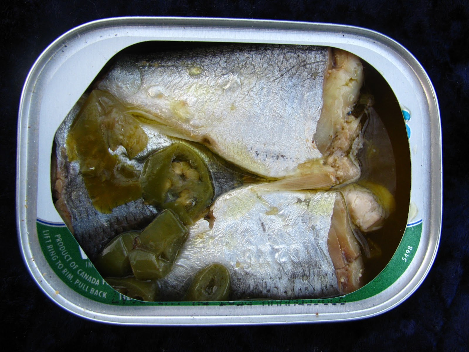 Mouth Full of Sardines Beach CliffSardines