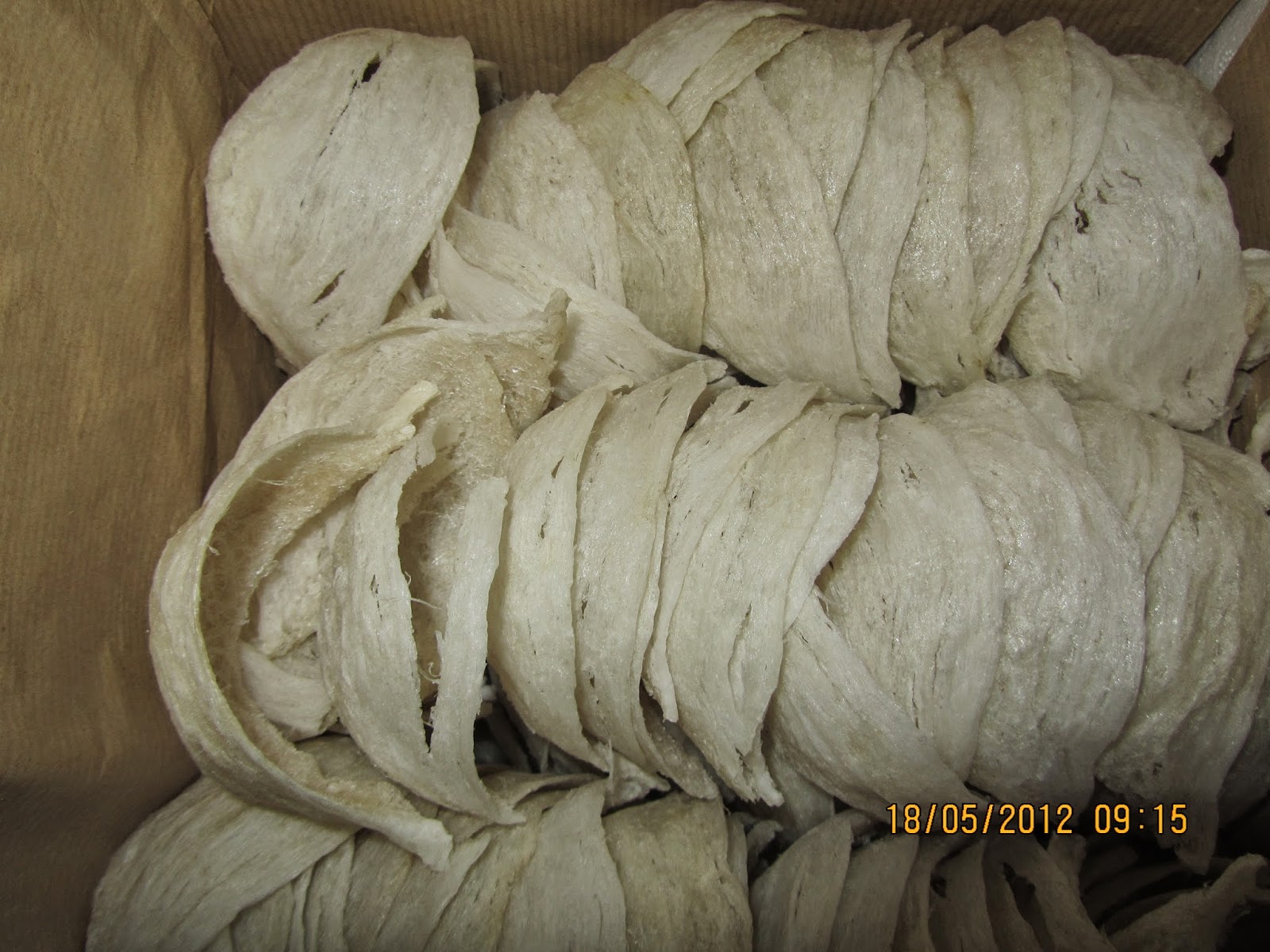 HERITAGE OF SABAH BIRD'S NEST Various types of edible bird's nests