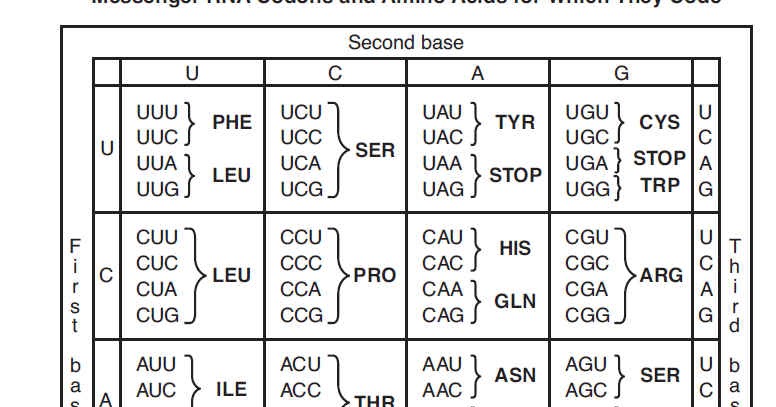 Universal Codon Chart