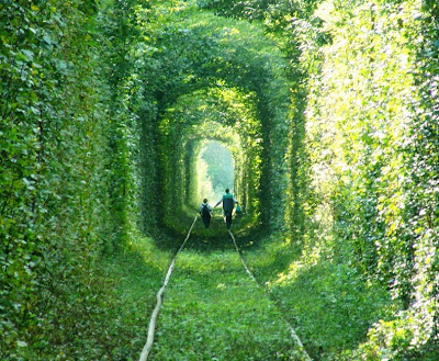 Tunnel of Love in Kleven, Ukraine