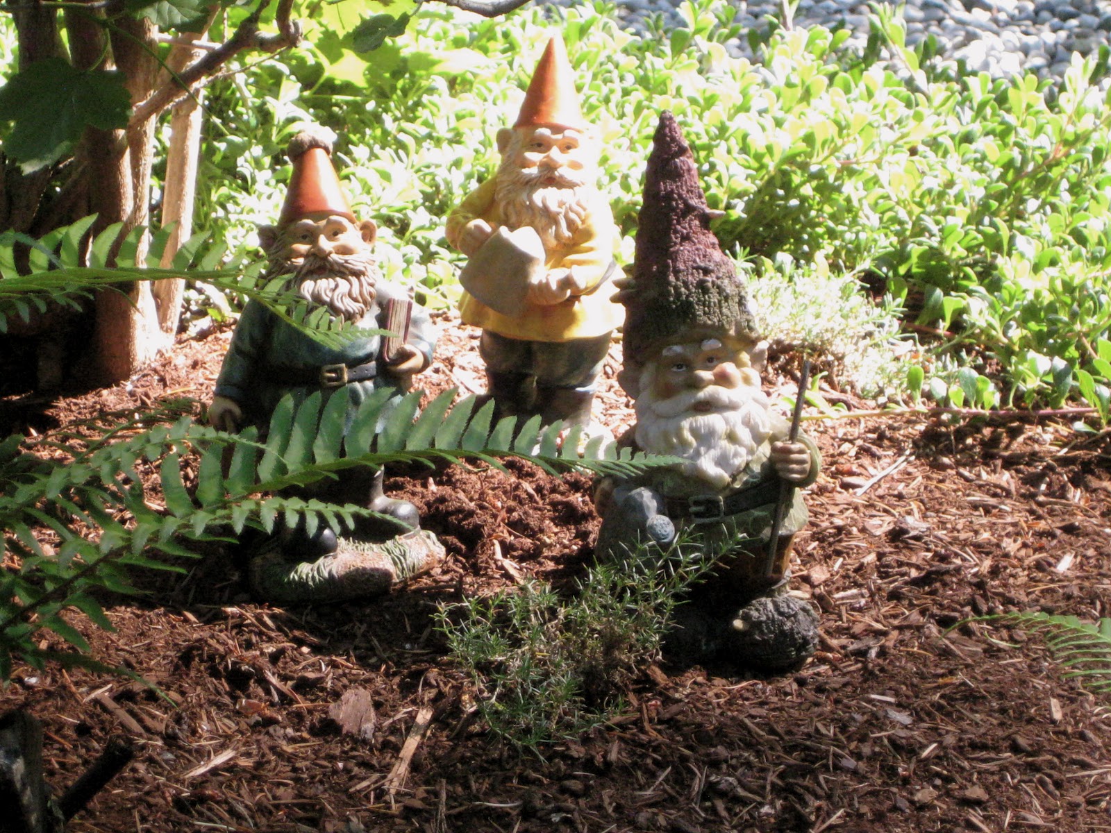 Gnome Stories at Whimsical Woods Woodland Gnomes