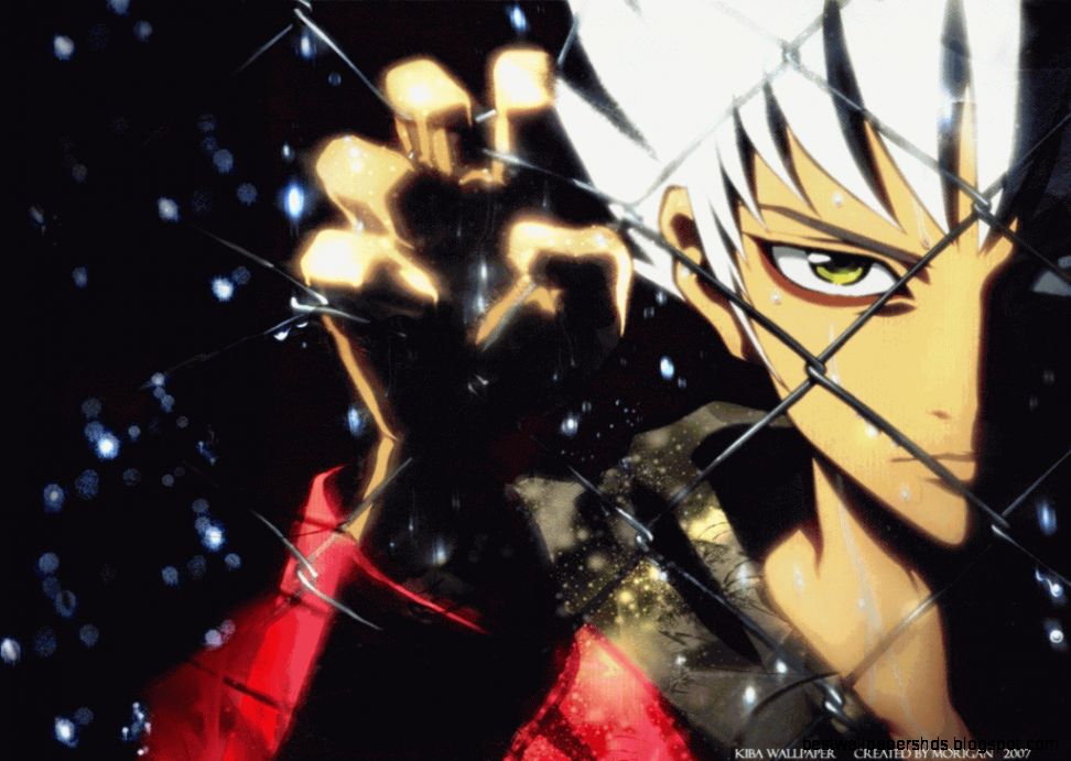 Kiba Anime Wallpapers Wallpaper Cave Kiba Anime Wallpapers Wallpaper Cave