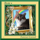 Beau Forever