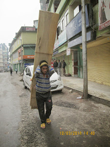 Laborer carrying wood plank.