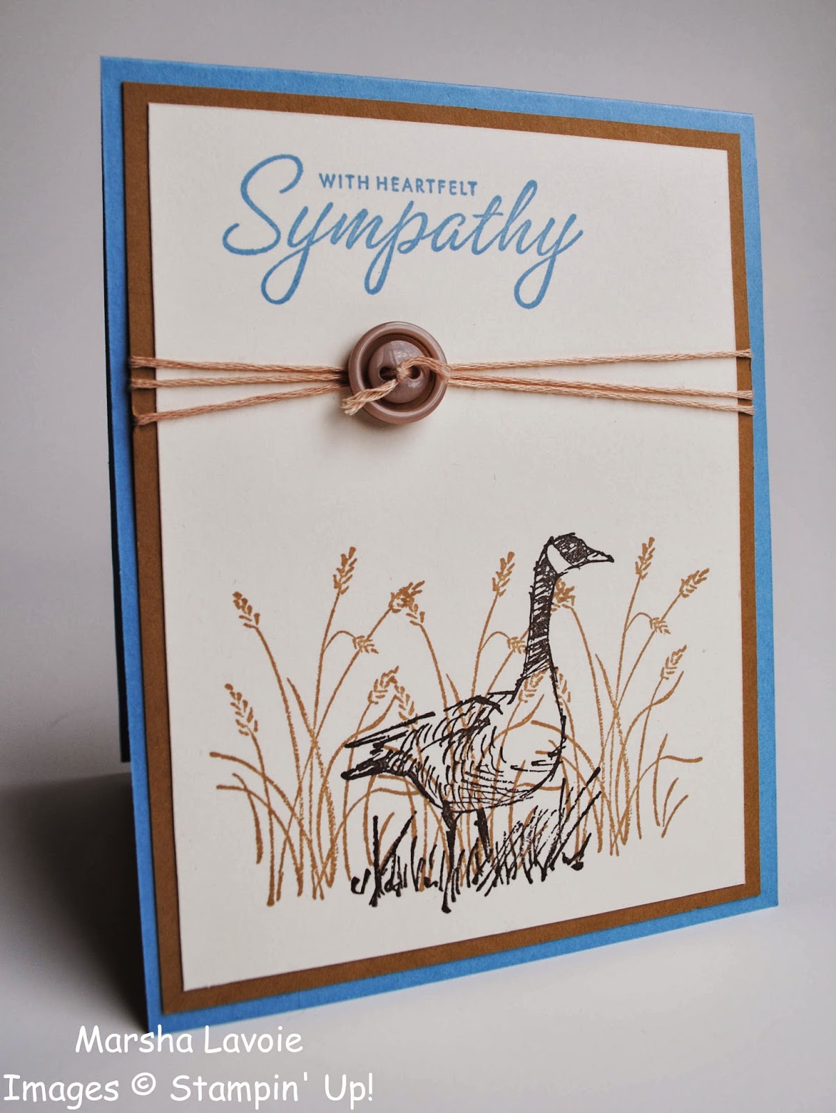 wetlands stampin up