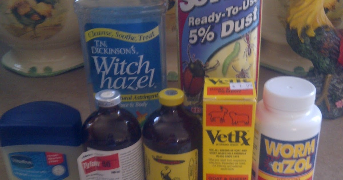 Keeping Chickens Basic Poultry Medicine and Maintenance