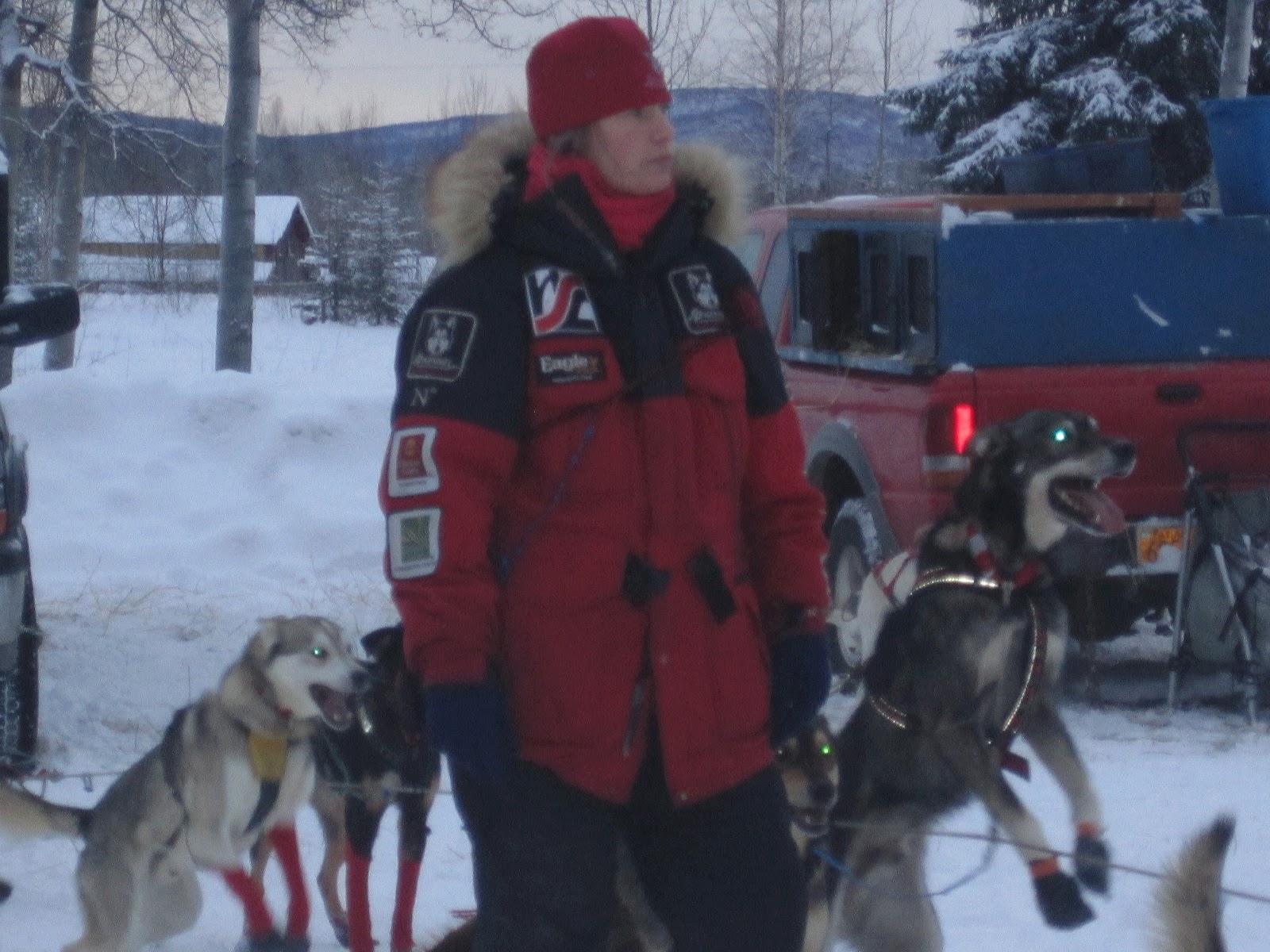 Solstice Race Update SP Kennel