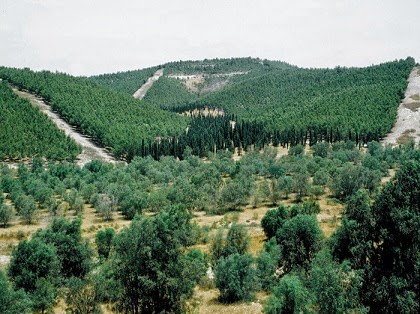 alamcyber 2020 Sifat pokok Gharqad