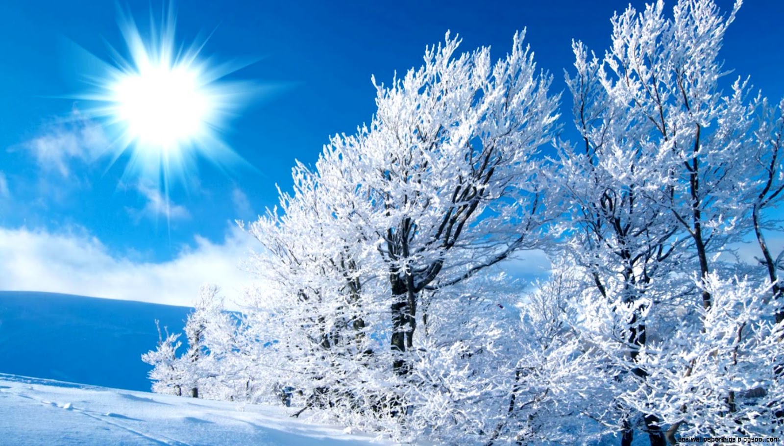 Winter Snow Scenes Desktop Winter Snow Scenes Desktop