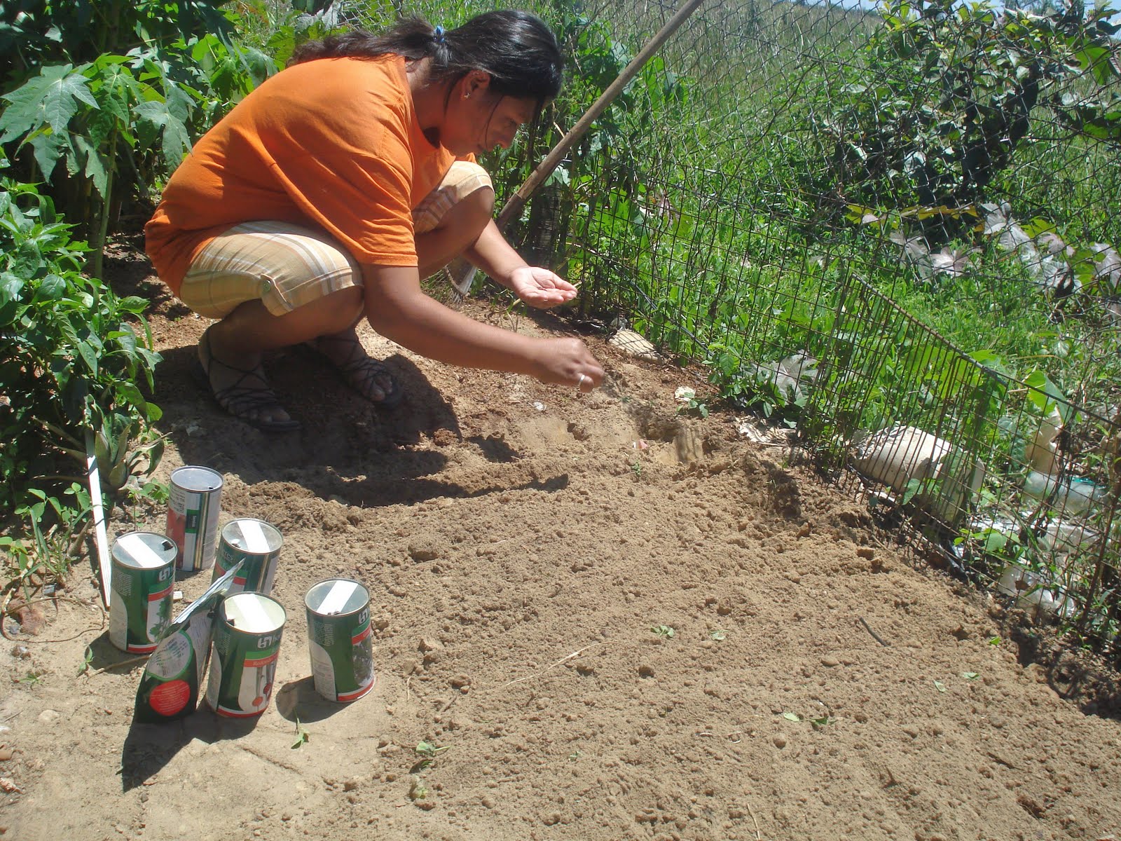 Ascender Santa Cruz HUERTOS FAMILIARES EN EL BARRIO LA FUENTE
