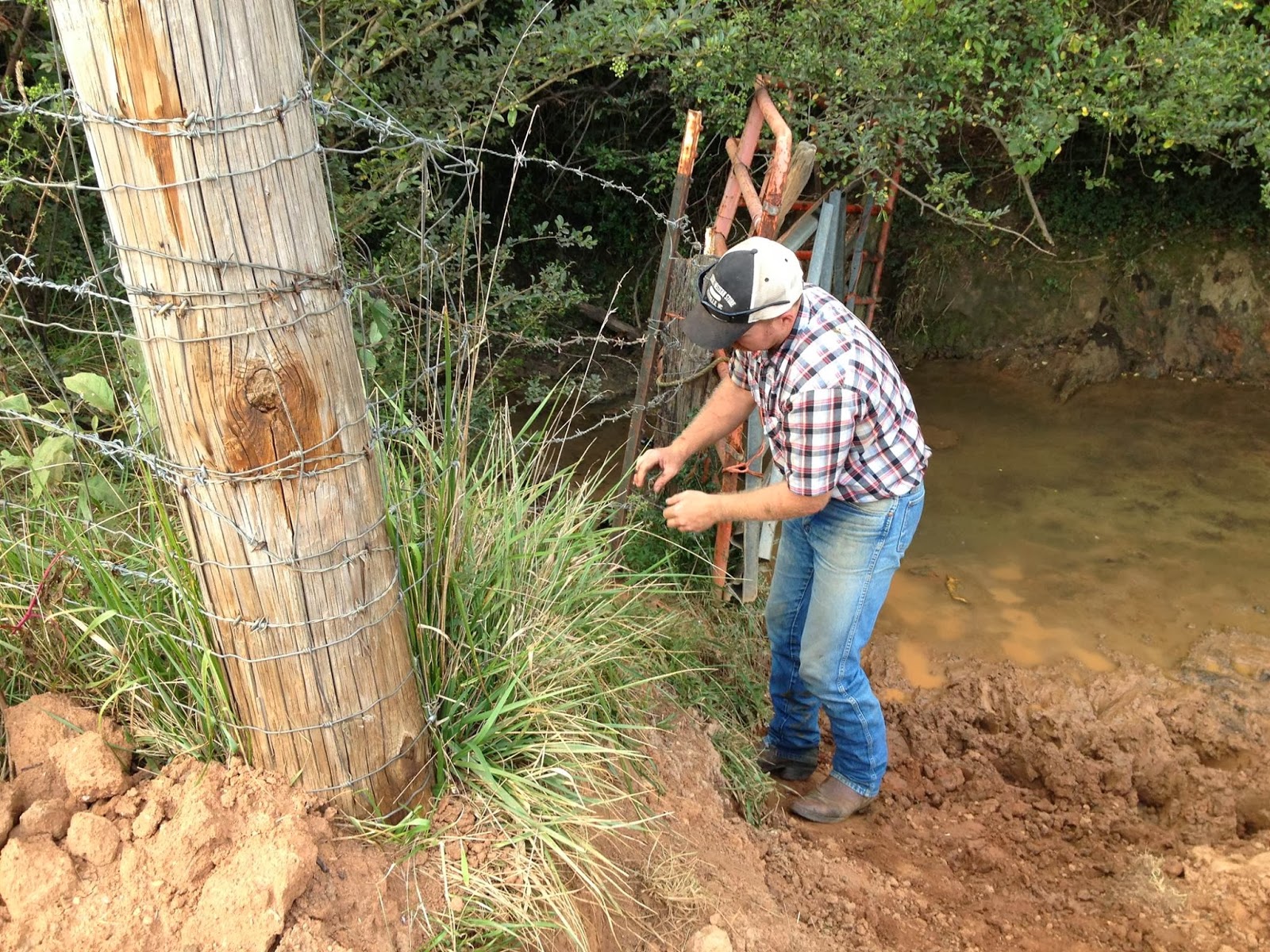 Fairy Tales And Fiction By 2 Mending Fences