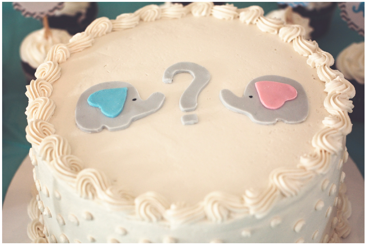 Home Confetti ELEPHANT THEMED GENDER REVEAL PARTY