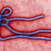Información importante sobre el Ébola, disponible para su descarga.