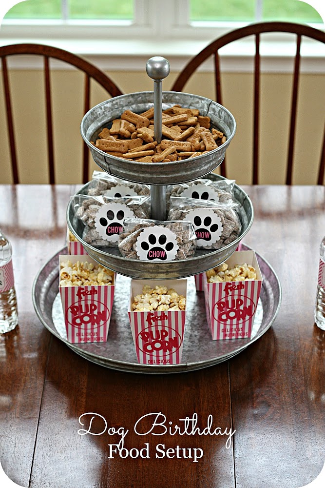 Keeping My Cents ¢¢¢ Dog Birthday Party Ideas!