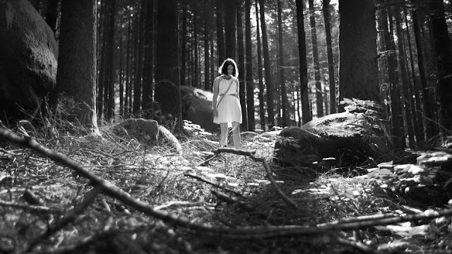 Imagens do filme A Floresta das Almas Perdidas (The Forest of the Lost Souls)