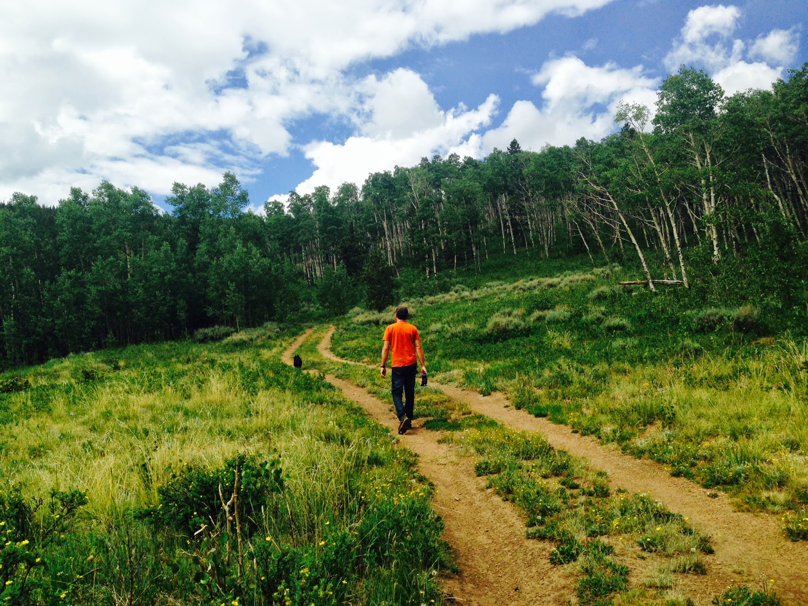 Southern New Mexico Explorer Breakneck Pass RoadPike National Forest