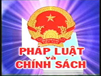 www.chukysotphcm.com-cham-nop-ho-so-khai-thue