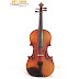 Đàn Violin Lazer LV-001 3/4