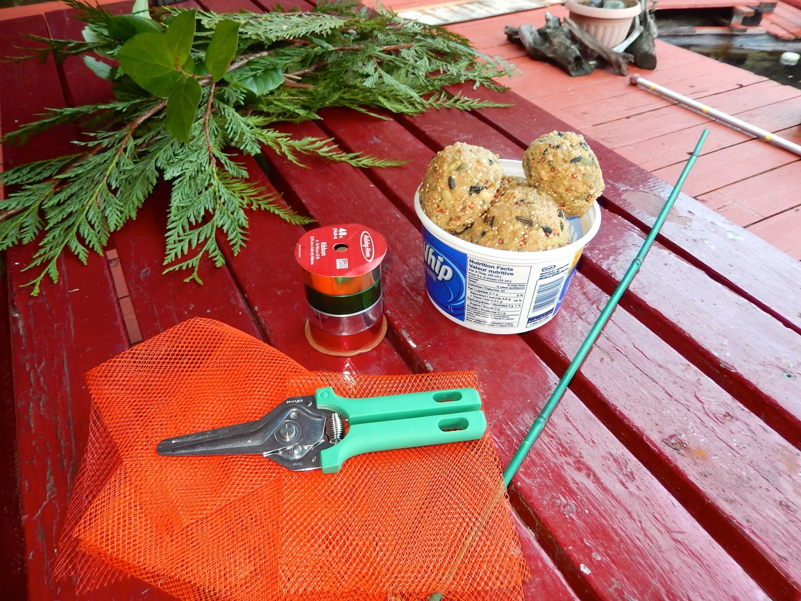 Powell River Books Blog No Melt Suet Balls