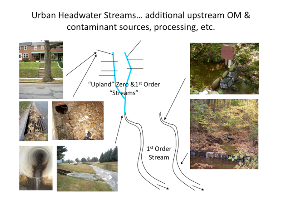 BES Urban Lexicon Urban Engineered Stream Continuum (UESC)