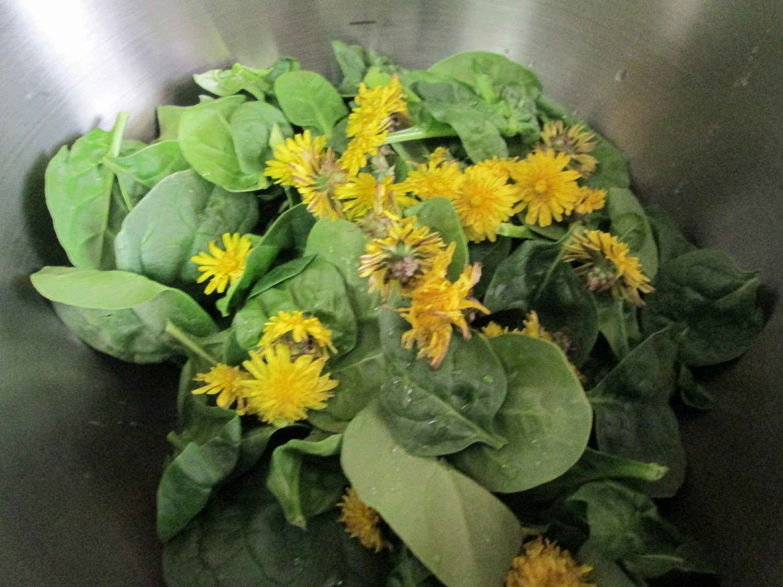 Your World Healthy and Natural Why and How to Eat Dandelions