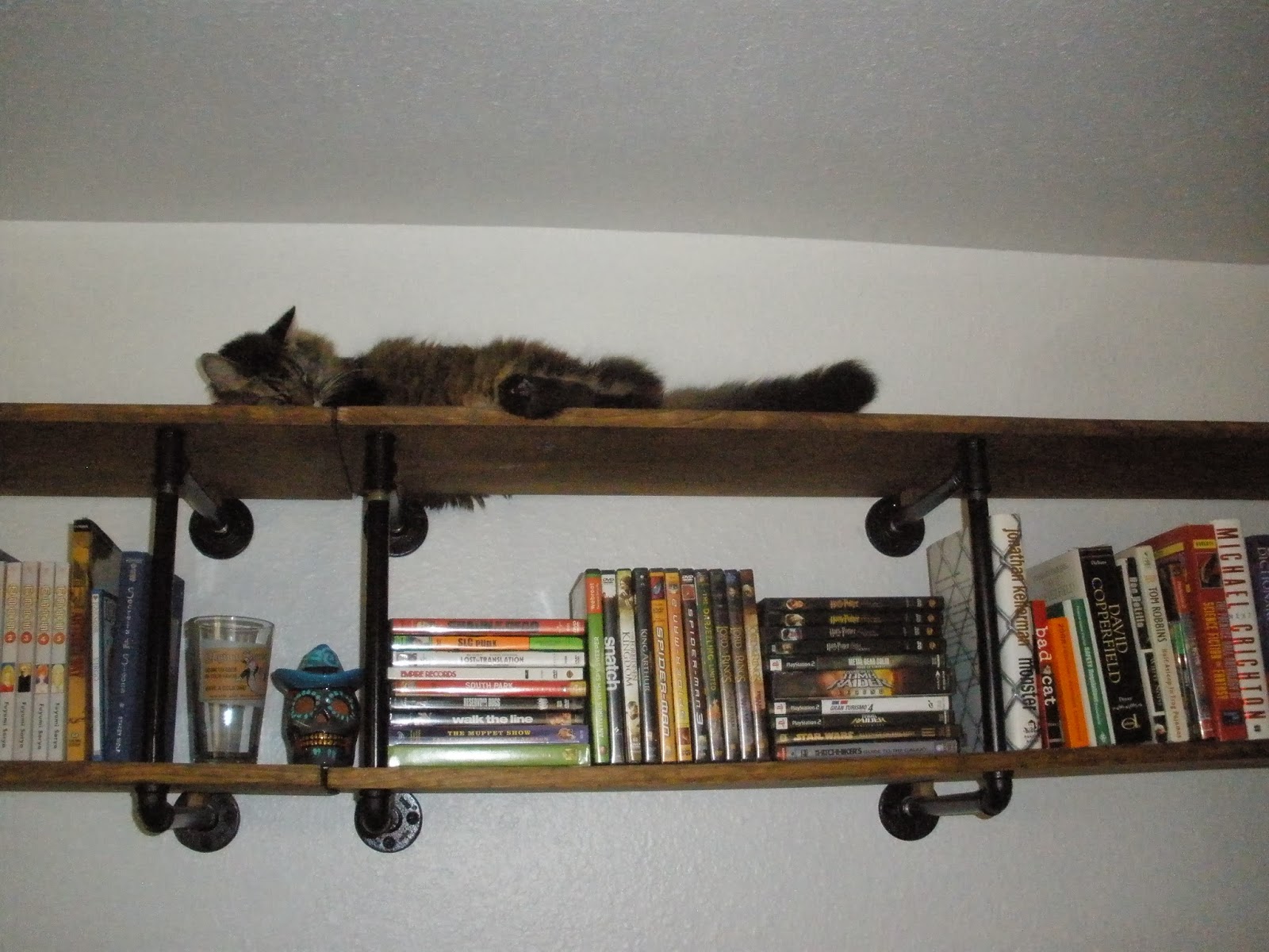 Caliradan The Bookshelf that Doubles as a Cat Tower
