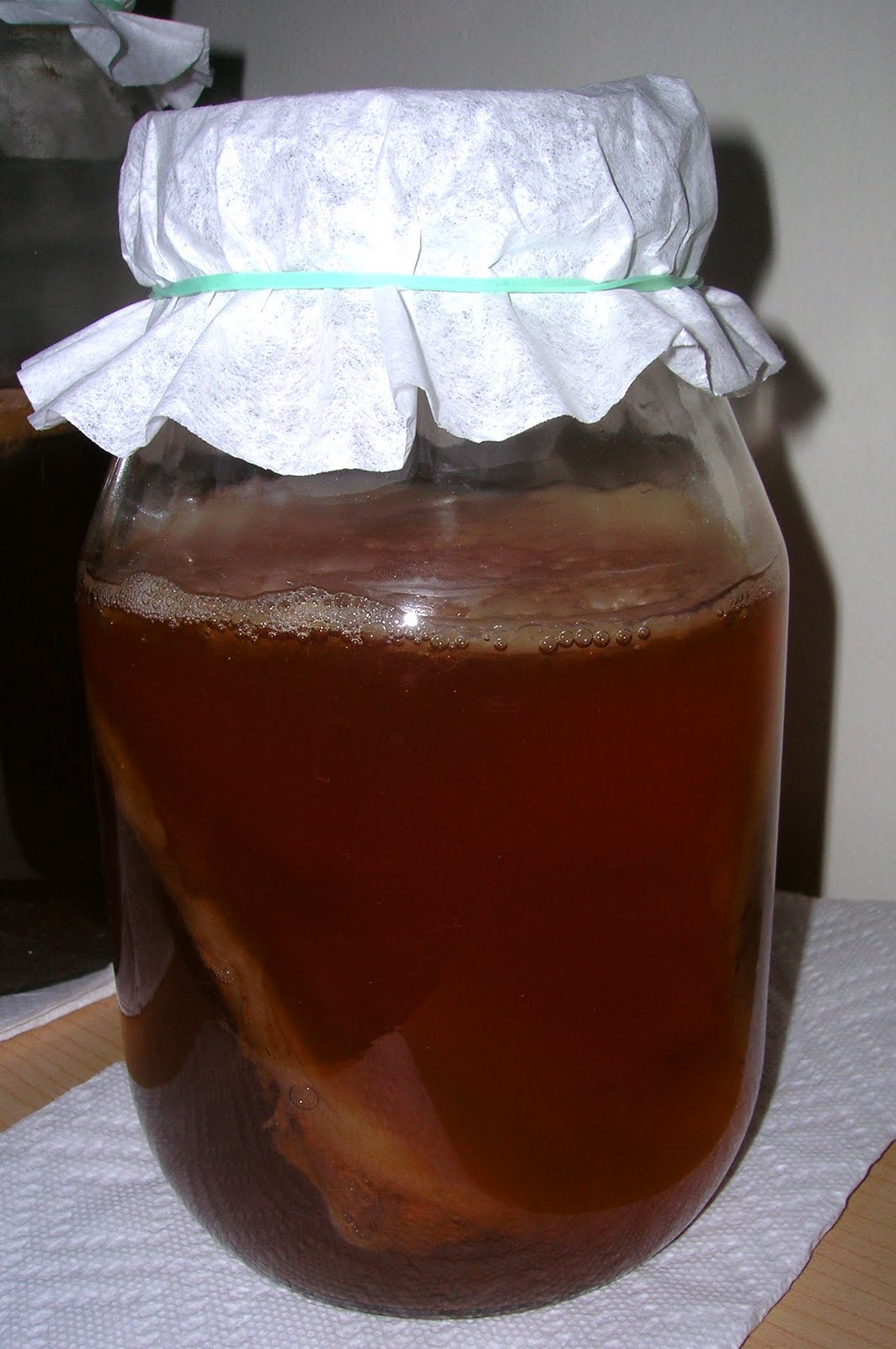 Kombucha Fuel Fruit Fly Trap