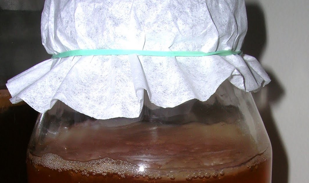 Kombucha Fuel Fruit Fly Trap