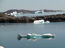 EL CAMBIO CLIMÁTICO