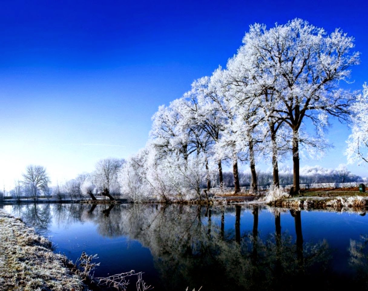 Winter For Windows 8 desktop wallpaper 1280x1024 hd desktop Winter For Windows 8 desktop wallpaper 1280x1024 hd desktop