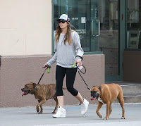 Jessica Biel stteped out of her home to walk the dog