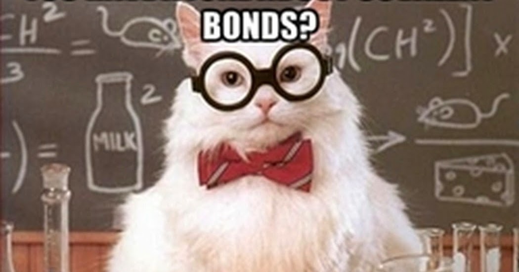 Chuck's Fun Page 2: Chemistry cat meme (16 pics)