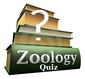  Zoology Gk Quiz in Hindi, Zoology, Botany Questions and answers Quiz