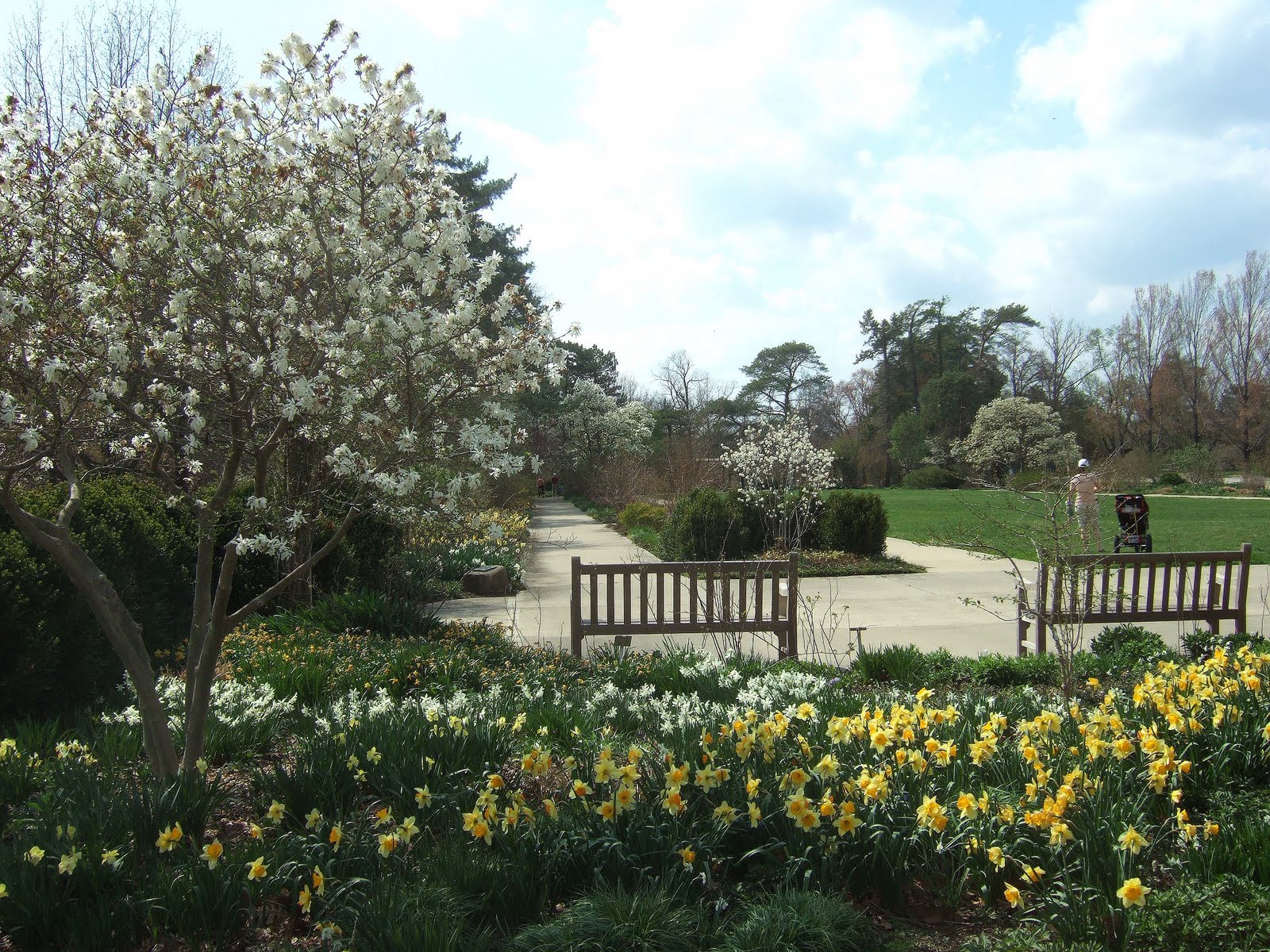 Ault Park Cincinnati