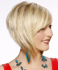 Formal Short Straight Hairstyle Formal Short Straight Hairstyle