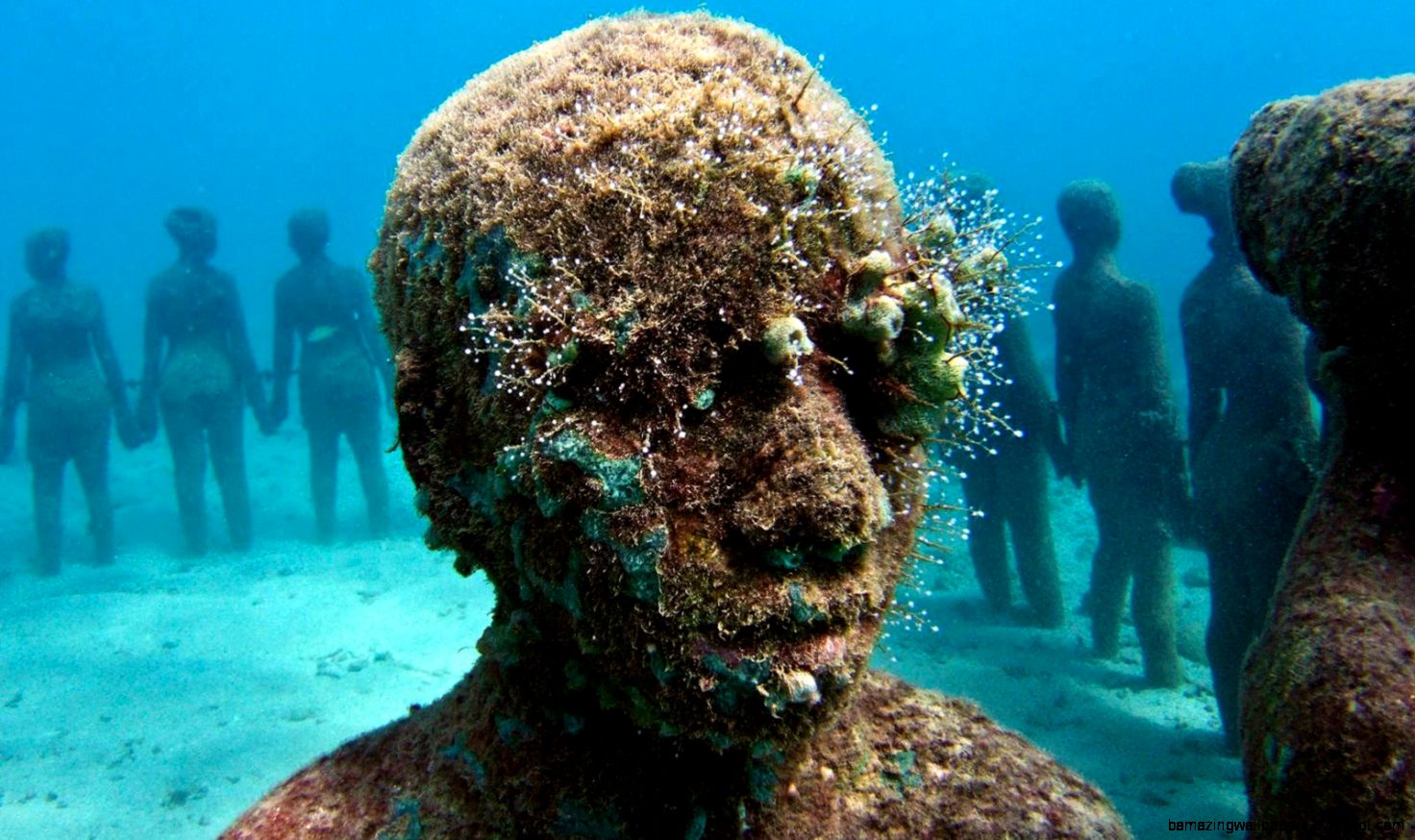 9 Bizarre Underwater Discoveries  Brain Berries 9 Bizarre Underwater Discoveries  Brain Berries