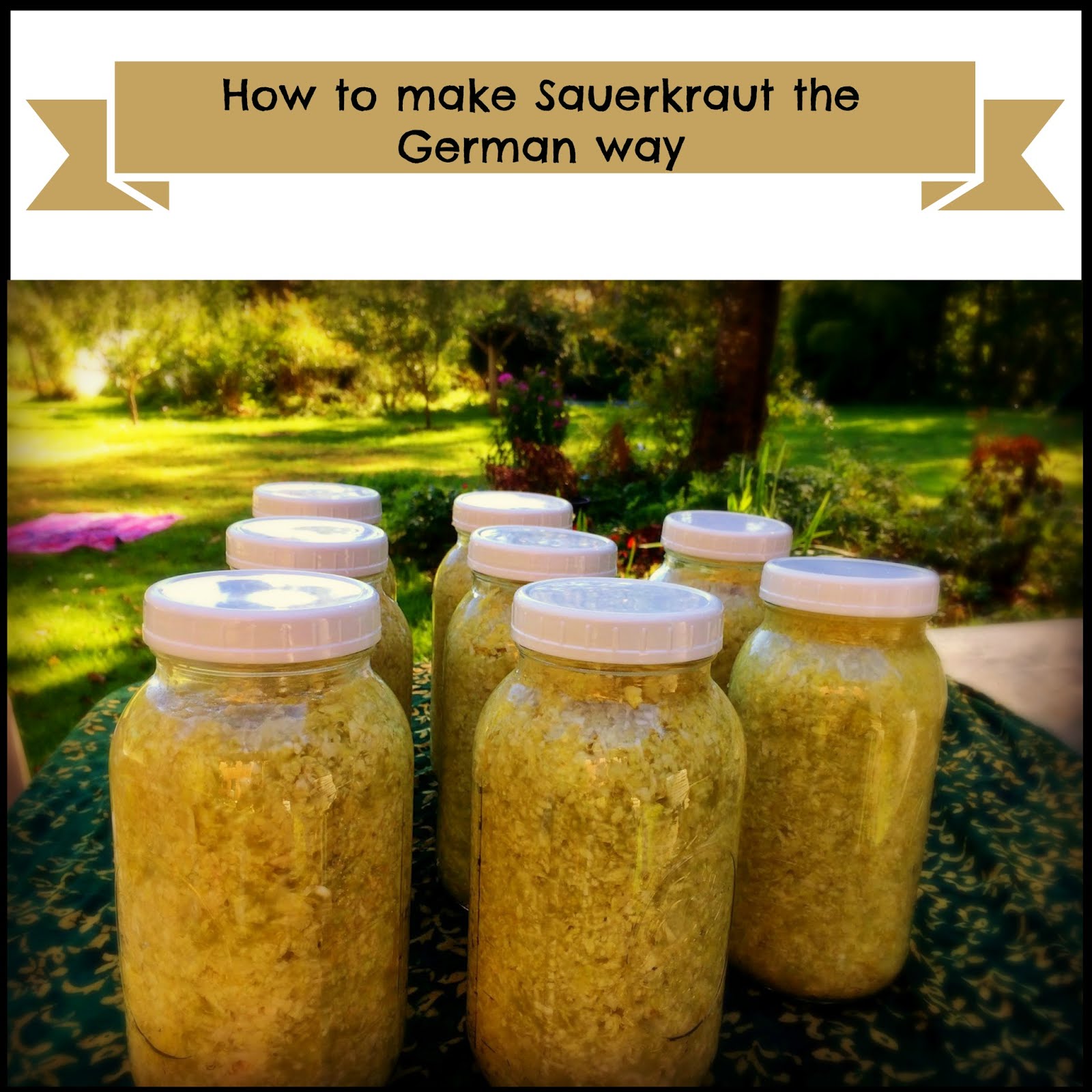 How to make sauerkraut