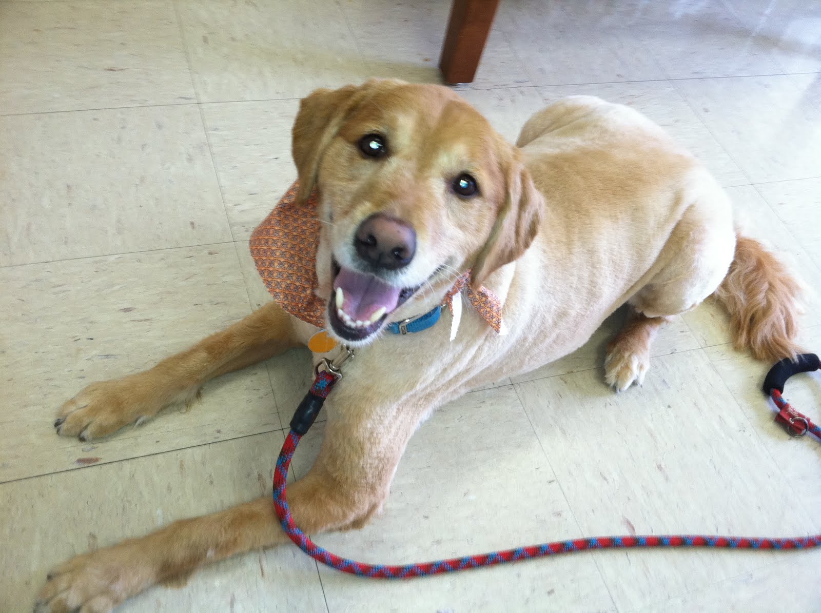 Oliver's Bungalow April 2011